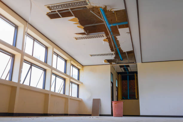 Best Flood damage cleanup  in Jacobus, PA