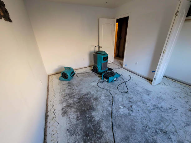 Best Local water damage restoration  in Jacobus, PA