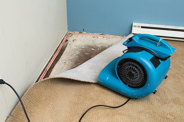 Best 24/7 water damage repair  in Jacobus, PA