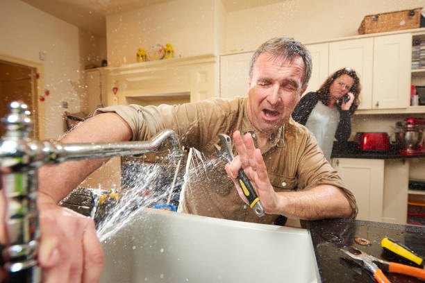 Best Water damage restoration services  in Jacobus, PA